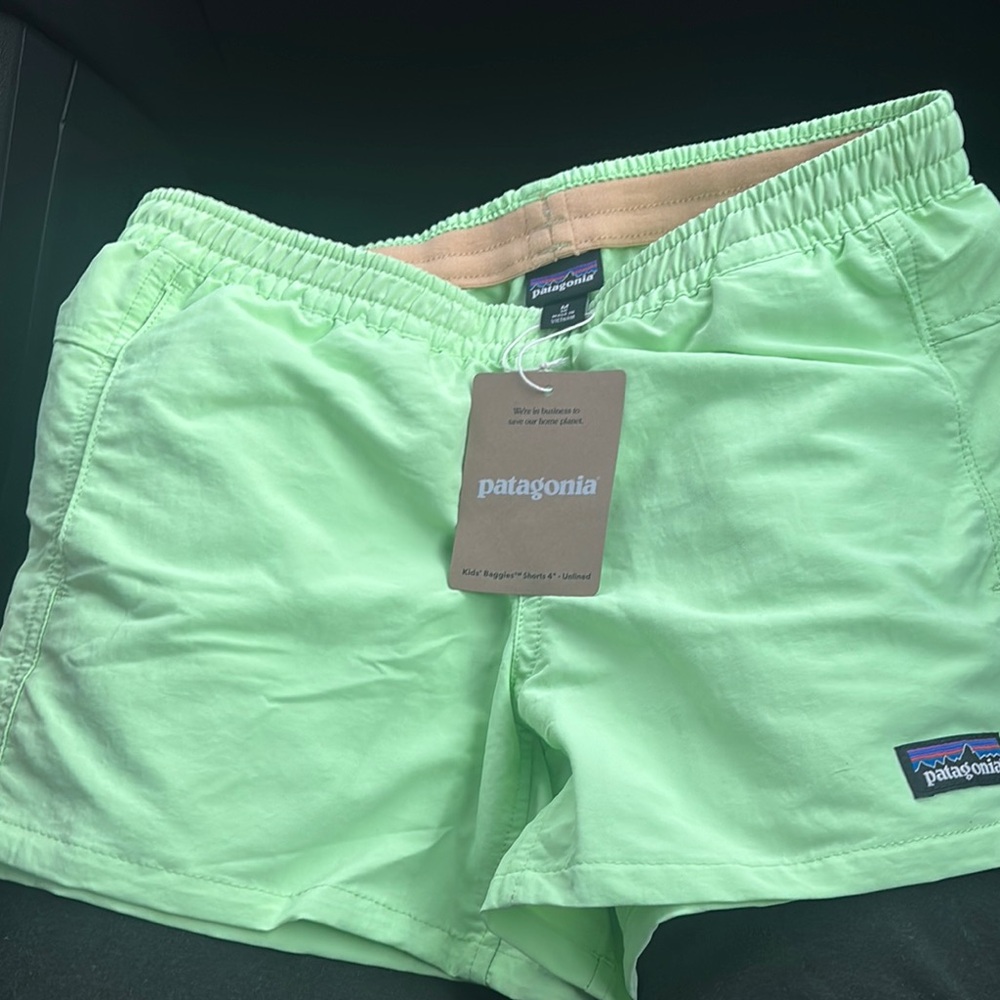 Patagonia Light Green Baggies